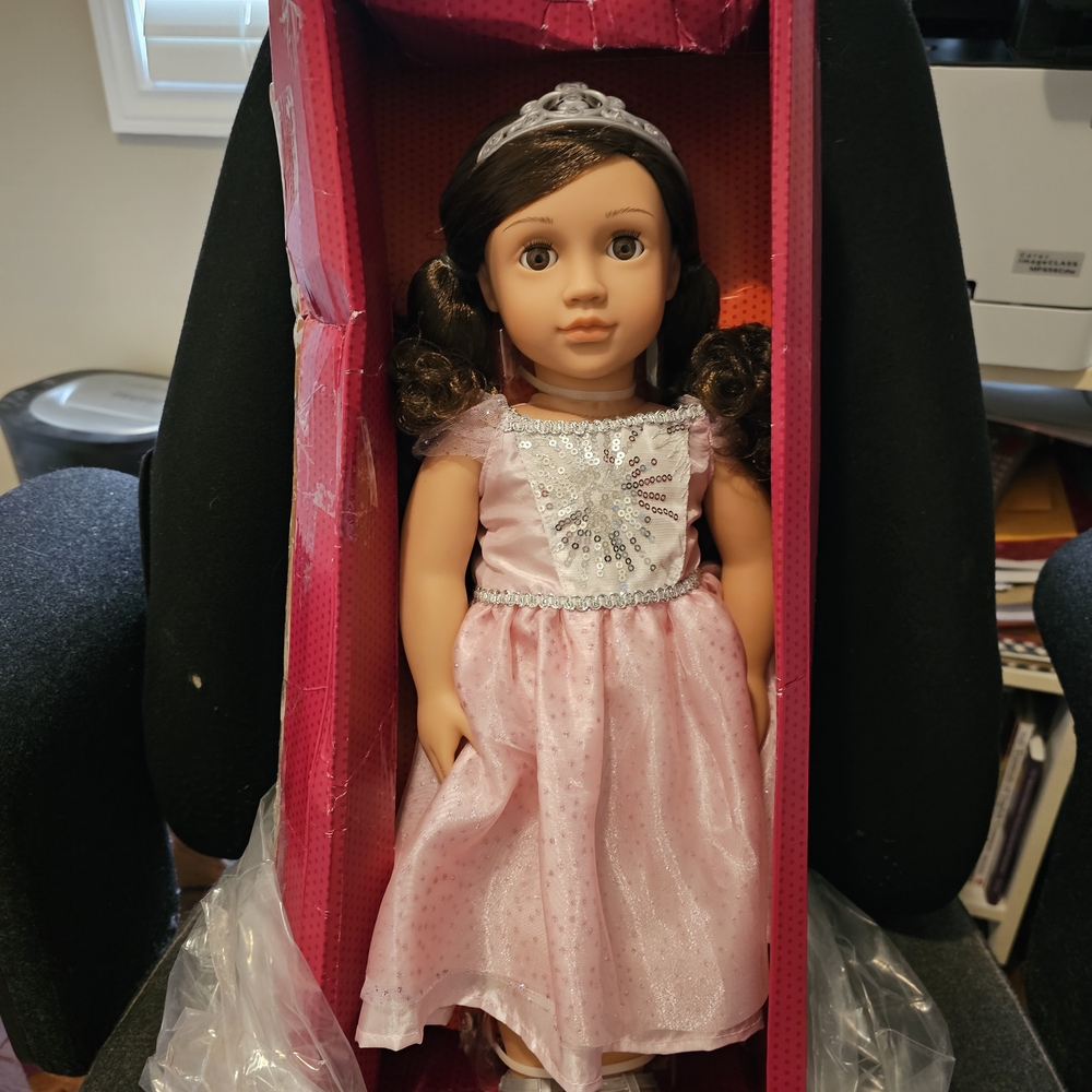 Charming Pink 18 Inch Doll with Tiara